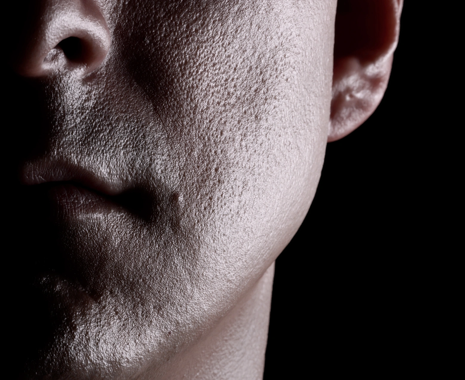 Cheek and mouth surface detail: render
